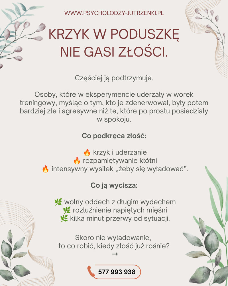 Co podkręca złość, a co ją wycisza - grafika edukacyjna